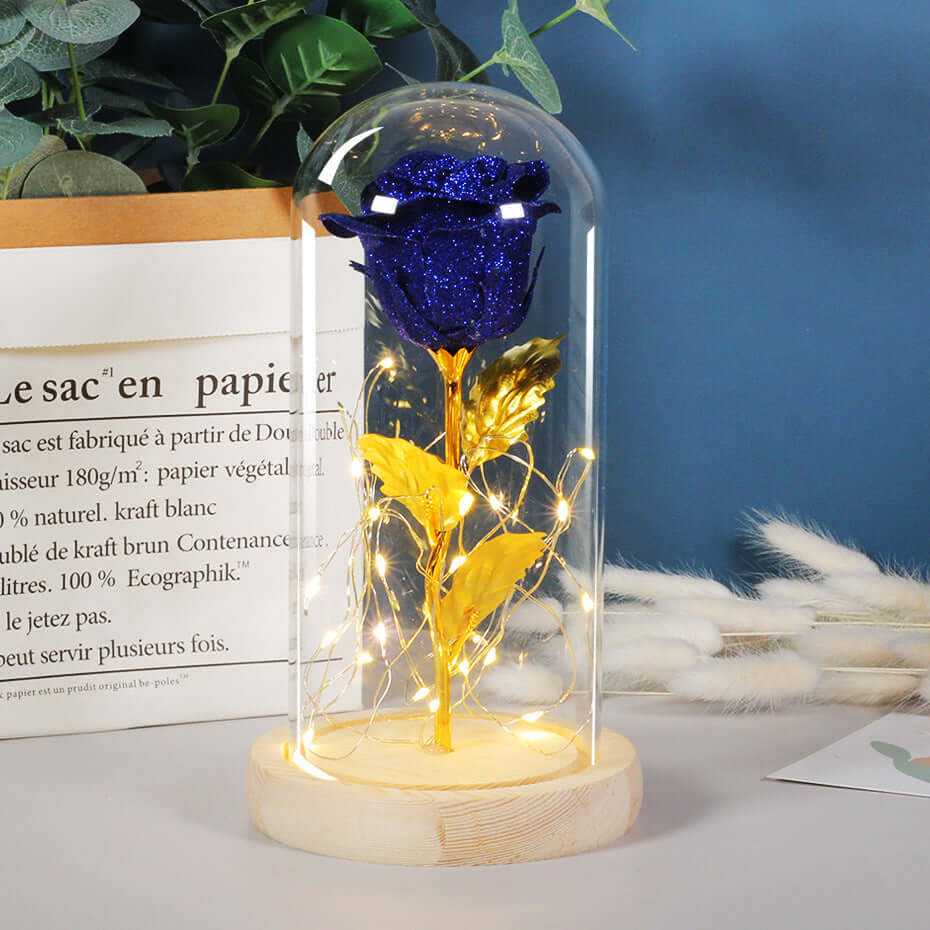 Valentines Day Gift  For Girlfriend Eternal Rose Flowers LED Light In Glass Cover Day Wedding Decoration Favors Mother Day Female Gift  Gift Nexora Store