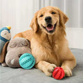 Hondenspeelgoed, Interactieve snoepjesballen van henneptouw, Rubberen lekkende ballen voor kleine honden, Kauwspeelgoed, Bijtbestendig speelgoed voor het reinigen van de tanden van huisdieren, Bijtbestendige speelgoedbal voor huisdieren, Honden, Puppy's Nexora Store