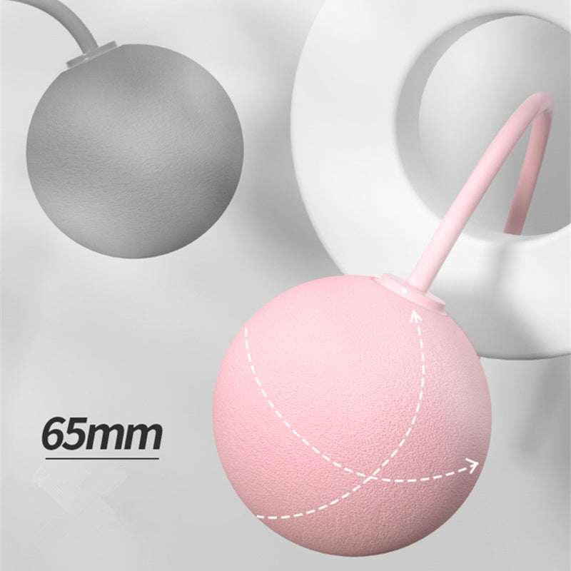 Trainingsspringtouwset Fitnessspringtouwen en siliconen handvatten voor dames, heren en kinderen met snelheid, draadloze bal, verstelbaar, anti-klit PVC-staaldraadtouw voor fitness, crossfit, binnen- en buitentraining Ritchy's Shop