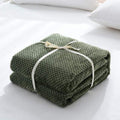 Household Simple Solid Color Coral Fleece Blanket Nexora Store