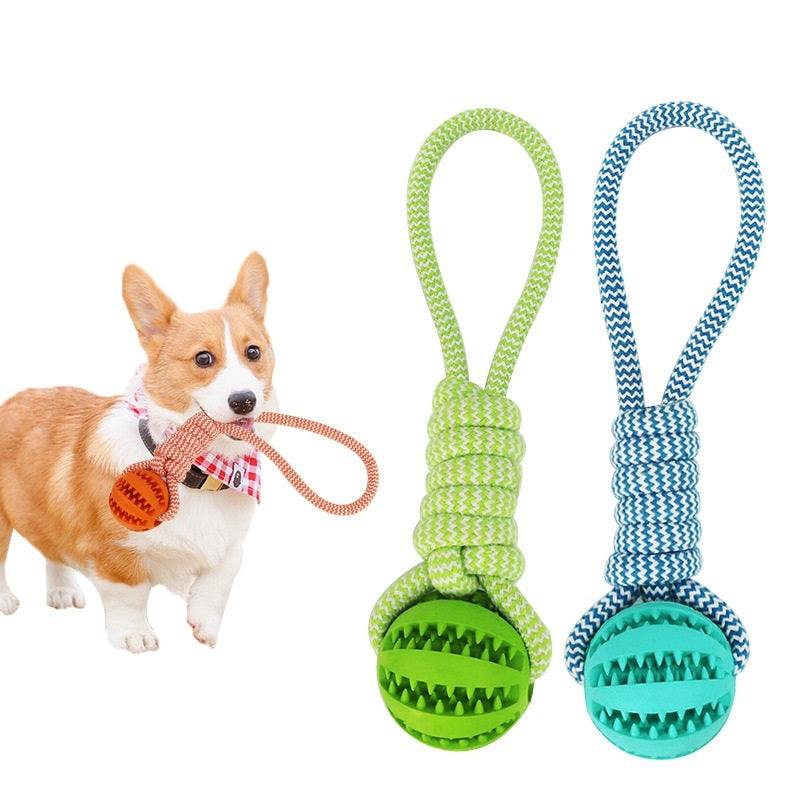 Interactief hondenspeelgoed met kauwbal en henneptouw voor kleine honden, bijtbestendig en tandreinigend kauwspeelgoed in groen en blauw